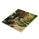 Recherche de animaux sauvages carreaux Nature