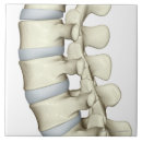 Recherche de docteur carreaux Petite entreprise