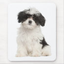 Suche nach havaneser mousepads Welpen