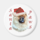 Recherche de bouffe magnets Chien