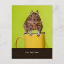 Recherche de mug cartes postales Mignon