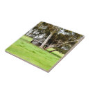 Suche nach altes holz fliesen Natur