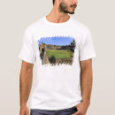 Recherche de san felipe tshirts Forteresse