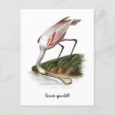 Recherche de cuillère cartes postales Spatule
