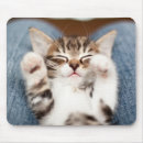 Recherche de corps tapis souris Soins