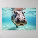 Recherche de hippopotame mignon posters Adorable