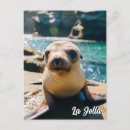 Suche nach la jolla san diego postkarten Reise