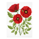 Recherche de pavot art Fleur sauvage