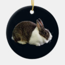 Suche nach ohren ornamente Hase