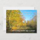 Recherche de forêt cartes postales Photographie de la nature