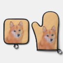 Recherche de spitz Spitz finlandais