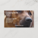 Recherche de image de chien cartes visite Éleveur de chiens