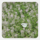 Recherche de rampant autocollants Insecte