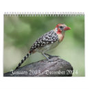 Suche nach vogel kalender 2014