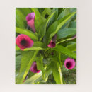 Suche nach calla puzzle Rätsel