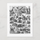 Suche nach louis wain postkarten Katze