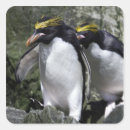 Suche nach zusammengehörigkeit aufkleber Horizontal