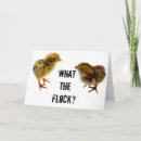 Suche nach wachteln karten Küken