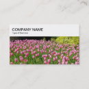 Recherche de tulipes roses cartes visite Moderne