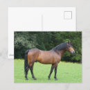 Suche nach bob langrish postkarten Stehend