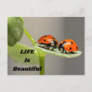 Suche nach grünes leben postkarten Natur