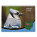 Suche nach birds kalender Vogelbeobachtung