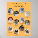 Suche nach persian poster Tiere
