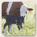 Recherche de agriculture dessous de verres Horizontal