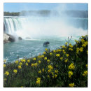 Recherche de chutes carreaux Canada