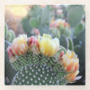 Recherche de dessert dessous de verres Cactus