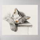 Recherche de vintage cat posters Kitty