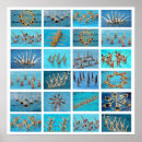 Suche nach synchronschwimmen Schwimmteam