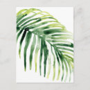 Recherche de feuille tropical cartes postales Botanique