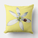 Recherche de petit insecte coussins Pour tous