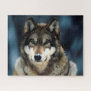 Recherche de portrait gris loups loups gris puzzles Prédateur
