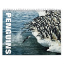 Suche nach pinguine kalender Tiere