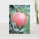 Suche nach royals karten Rot