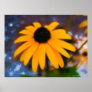 Recherche de black eyed susan Nature
