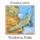 Recherche de parc national de marais Everglades