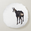 Recherche de nature faune coussins Hiver