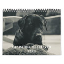 Suche nach labrador kalender Niedlich