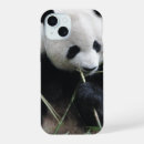 Recherche de panda mignon iphone coques Animal