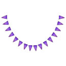 Recherche de mardi gras fêtes fournitures Violet