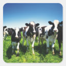 Suche nach landwirtschaft aufkleber Ranch
