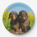 Recherche de dachshund paper assiettes Pour enfants