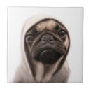 Suche nach kleiner hund fliesen Welpe