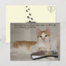 Recherche de citation drôle de chat cartes postales Humour