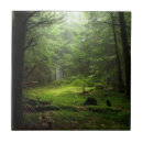 Suche nach baumstämme fliesen Holz