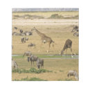 Recherche de habitat blocsnotes Nature
