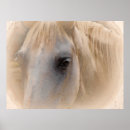 Recherche de tête de cheval posters Animal de ferme